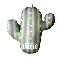 Cactus pillow